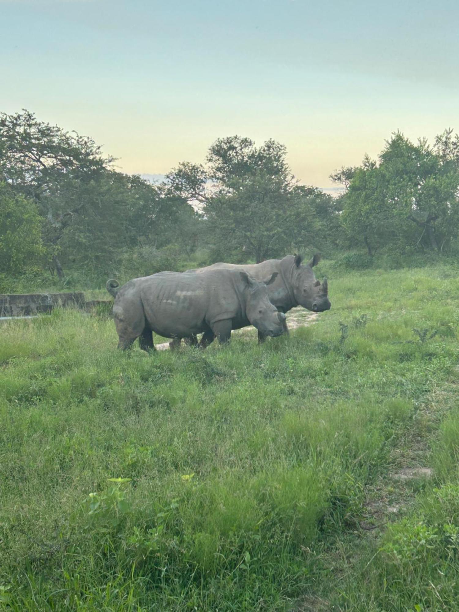 Am Lodge - Hoedspruit Dış mekan fotoğraf