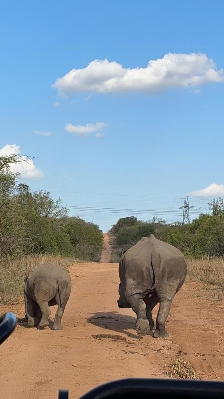 Am Lodge - Hoedspruit Dış mekan fotoğraf