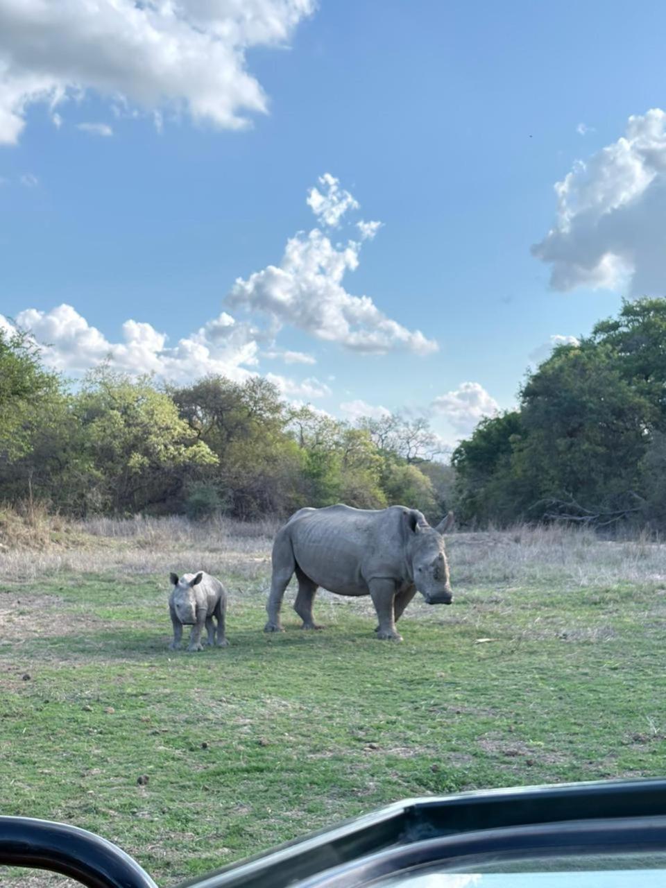 Am Lodge - Hoedspruit Dış mekan fotoğraf